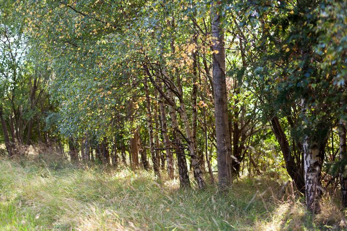 Claypits_landscape_02_1500x1000