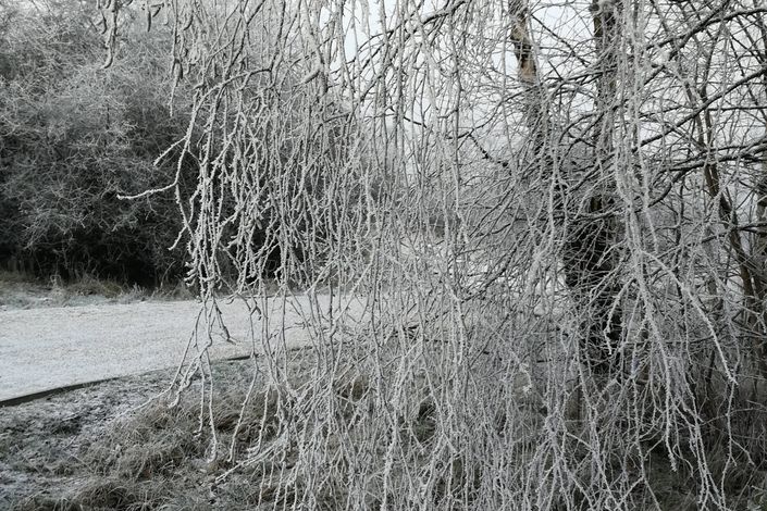 Claypits_landscape_13_1500x1000