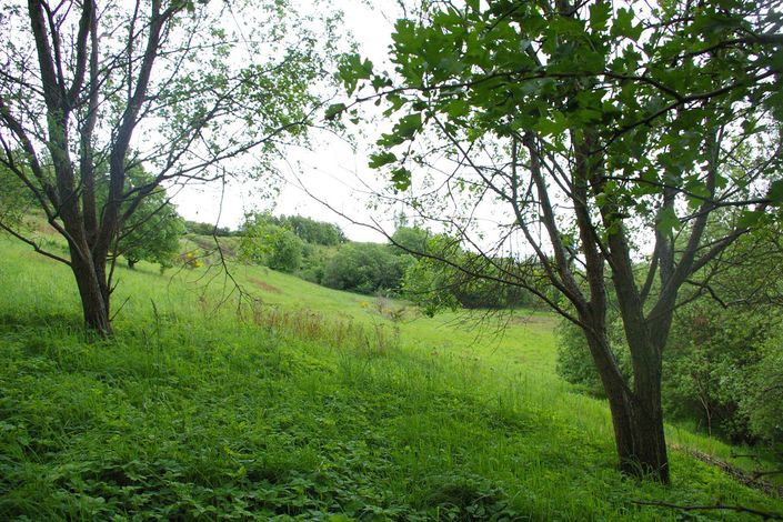 Claypits_landscape_23_1500x1000