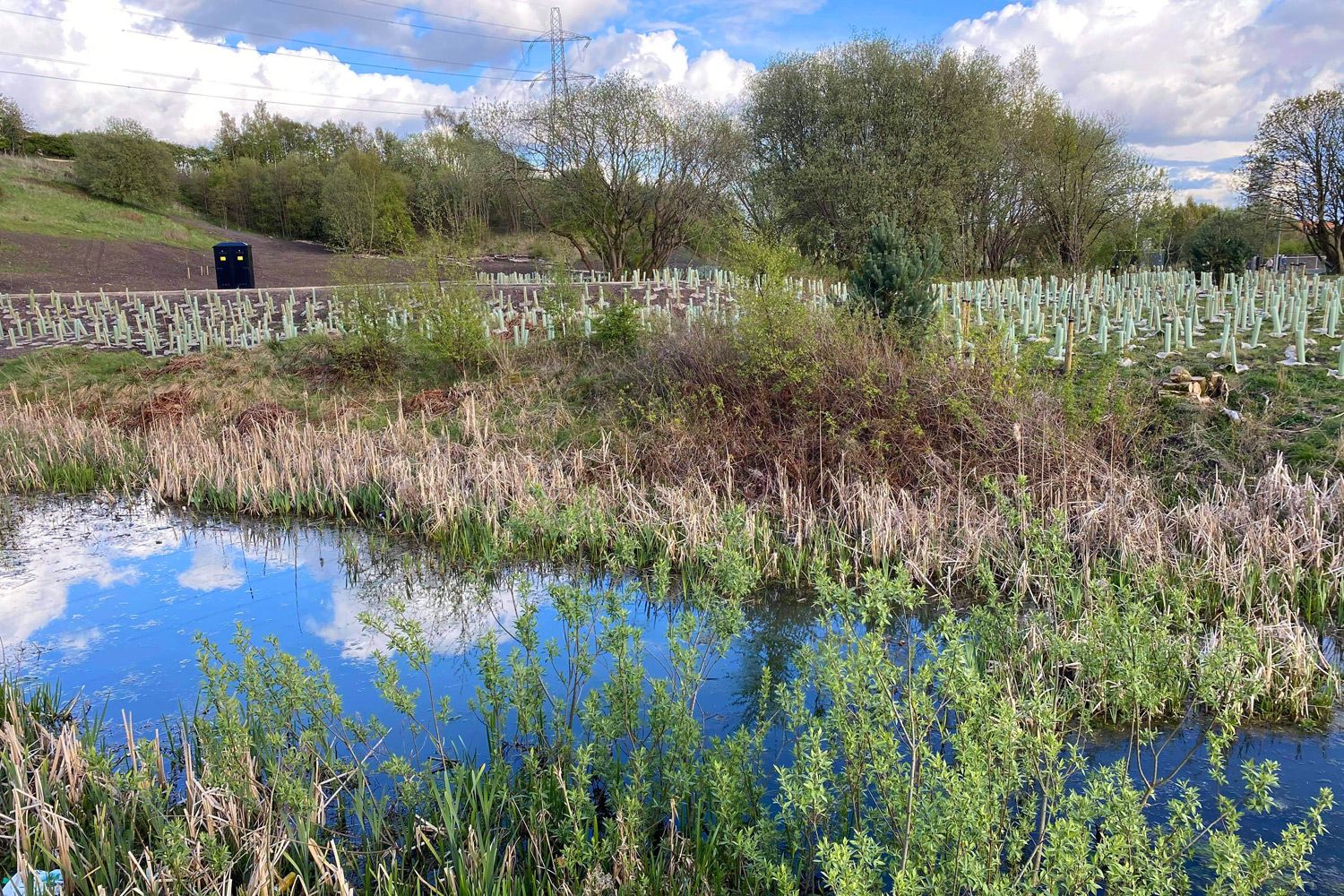 Claypits_landscape_31_1500x1000