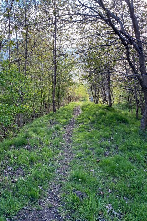 Claypits_landscape_p03_1000x1500